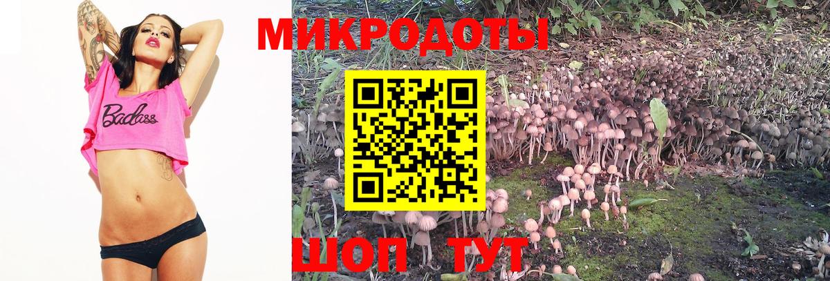 Галлюциногенные грибы GOLDEN TEACHER  Вход с VPN  Элиста 